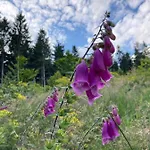 Mathilda Eins * Schmiedefeld am Rennsteig