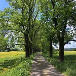 Mathilda Eins Schmiedefeld am Rennsteig