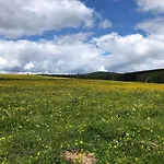 Mathilda Eins * Schmiedefeld am Rennsteig