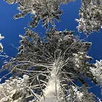 Mathilda Eins Nyaraló Schmiedefeld am Rennsteig