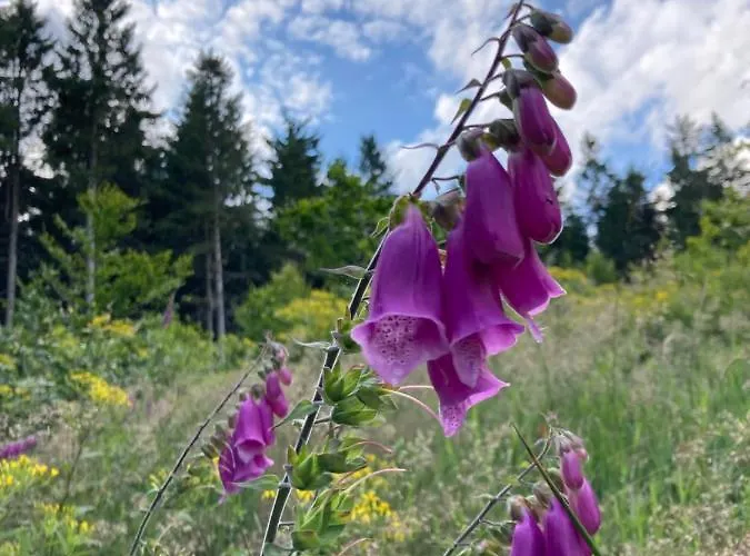 Mathilda Eins * Schmiedefeld am Rennsteig