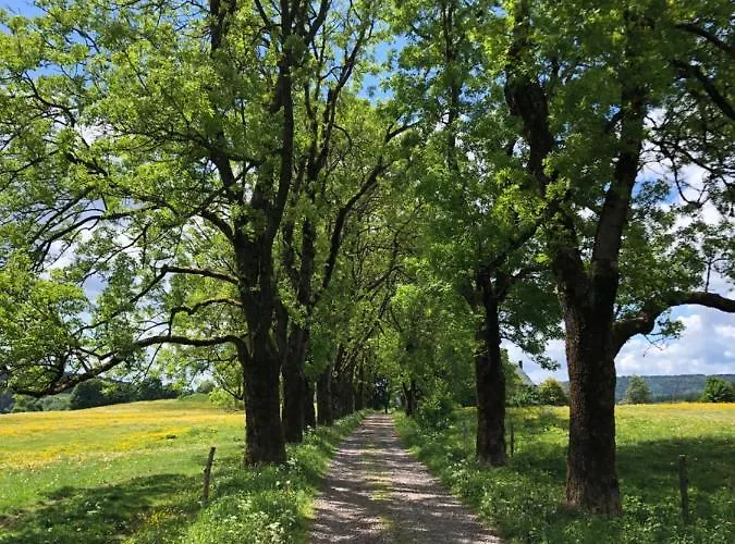 Mathilda Eins Schmiedefeld am Rennsteig
