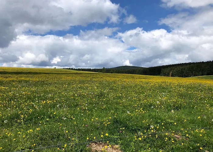Mathilda Eins * Schmiedefeld am Rennsteig