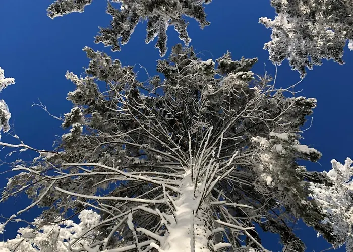 Mathilda Eins Vakantiehuis Schmiedefeld am Rennsteig
